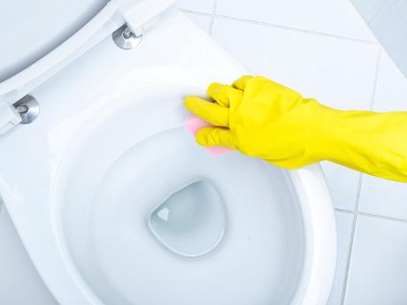 Wie reinigt man eine Toilette ohne Chemie?